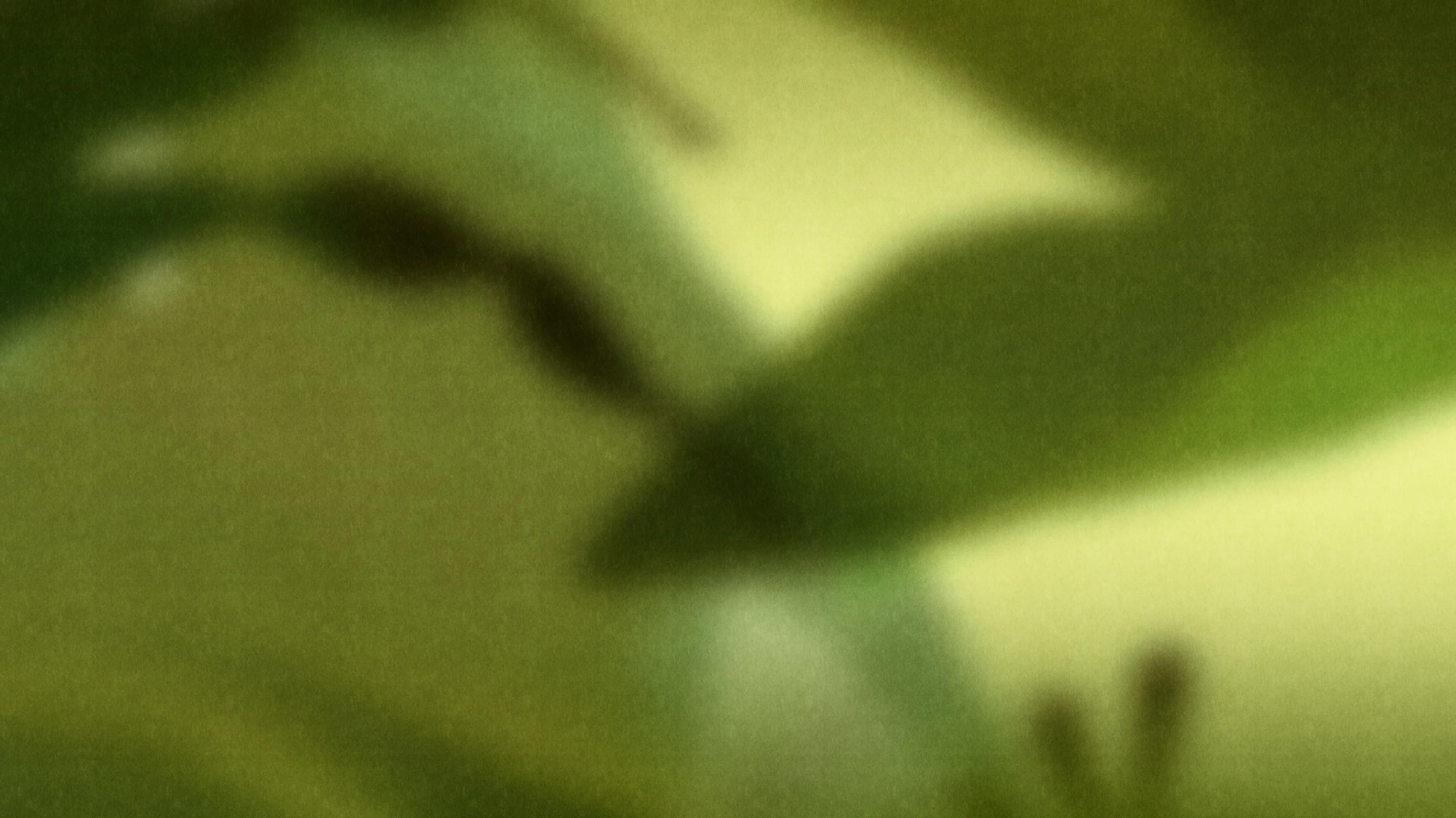Abstract green texture background